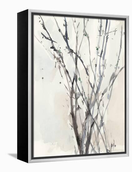 Watercolor Branches II-Samuel Dixon-Framed Stretched Canvas