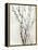 Watercolor Branches II-Samuel Dixon-Framed Stretched Canvas