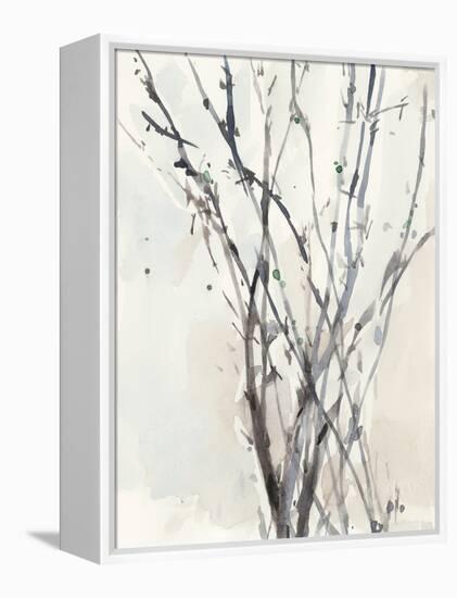 Watercolor Branches II-Samuel Dixon-Framed Stretched Canvas