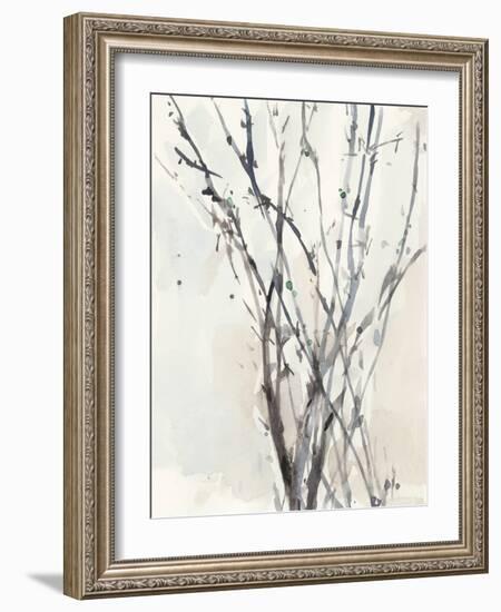 Watercolor Branches II-Samuel Dixon-Framed Art Print