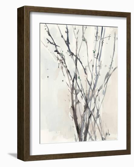 Watercolor Branches II-Samuel Dixon-Framed Art Print