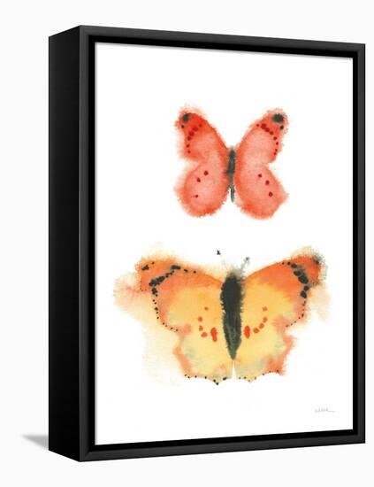 Watercolor Butterflies IV-Shirley Novak-Framed Stretched Canvas