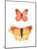 Watercolor Butterflies IV-Shirley Novak-Mounted Art Print