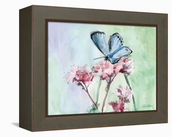 Watercolor Butterfly I-LuAnn Roberto-Framed Stretched Canvas