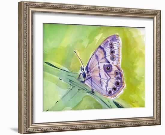 Watercolor Butterfly IV-LuAnn Roberto-Framed Art Print