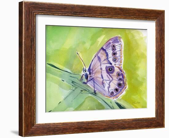 Watercolor Butterfly IV-LuAnn Roberto-Framed Art Print