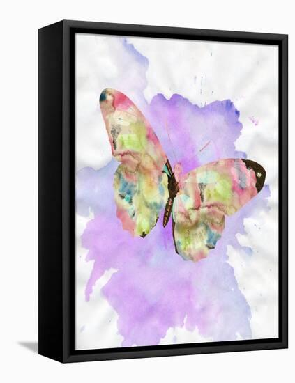 Watercolor Butterfly-Sheldon Lewis-Framed Stretched Canvas