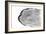 Watercolor Bw Agate-Susan Bryant-Framed Art Print