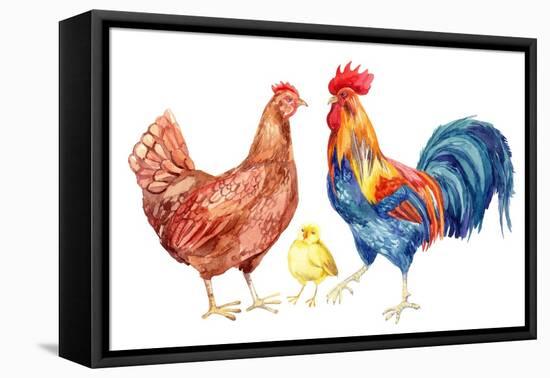 Watercolor Chicken Family - Hen Rooster Chicken. Hand Painted Illustration-tanycya-Framed Stretched Canvas