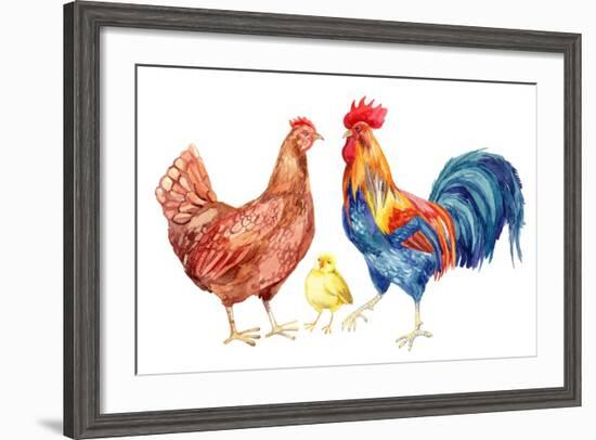 Watercolor Chicken Family - Hen Rooster Chicken. Hand Painted Illustration-tanycya-Framed Premium Giclee Print