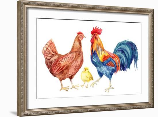 Watercolor Chicken Family - Hen Rooster Chicken. Hand Painted Illustration-tanycya-Framed Premium Giclee Print