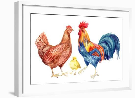 Watercolor Chicken Family - Hen Rooster Chicken. Hand Painted Illustration-tanycya-Framed Premium Giclee Print