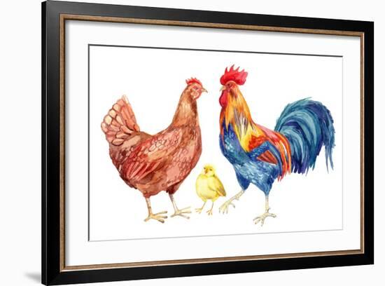 Watercolor Chicken Family - Hen Rooster Chicken. Hand Painted Illustration-tanycya-Framed Premium Giclee Print