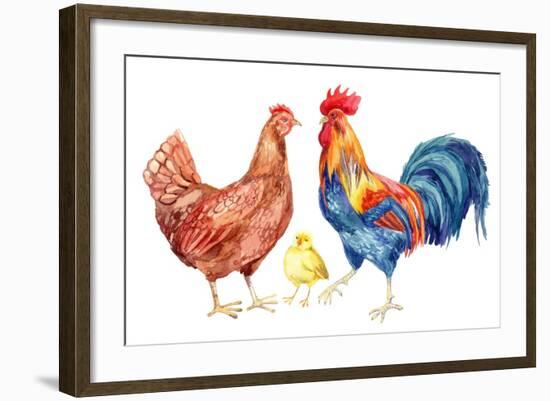 Watercolor Chicken Family - Hen Rooster Chicken. Hand Painted Illustration-tanycya-Framed Premium Giclee Print