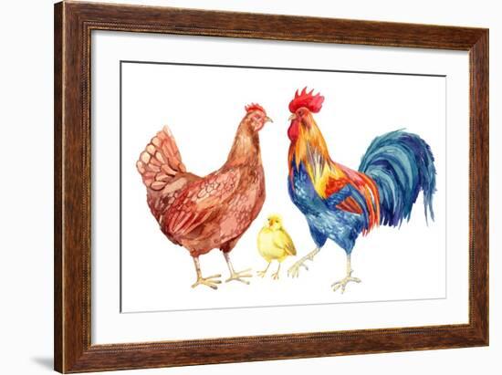 Watercolor Chicken Family - Hen Rooster Chicken. Hand Painted Illustration-tanycya-Framed Premium Giclee Print