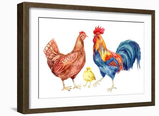 Watercolor Chicken Family - Hen Rooster Chicken. Hand Painted Illustration-tanycya-Framed Art Print