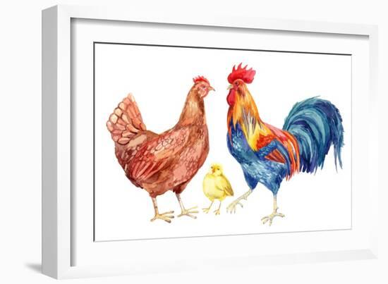 Watercolor Chicken Family - Hen Rooster Chicken. Hand Painted Illustration-tanycya-Framed Art Print