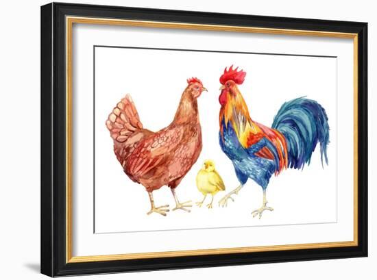 Watercolor Chicken Family - Hen Rooster Chicken. Hand Painted Illustration-tanycya-Framed Art Print