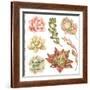Watercolor Collection of Succulents and Kalanchoe for Your Design, Hand-Drawn Illustration.-Nikiparonak-Framed Art Print