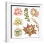 Watercolor Collection of Succulents and Kalanchoe for Your Design, Hand-Drawn Illustration.-Nikiparonak-Framed Art Print
