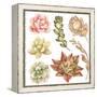 Watercolor Collection of Succulents and Kalanchoe for Your Design, Hand-Drawn Illustration.-Nikiparonak-Framed Stretched Canvas