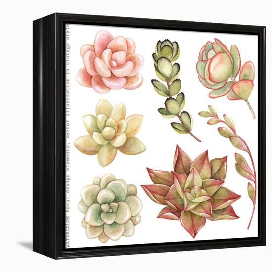 Watercolor Collection of Succulents and Kalanchoe for Your Design, Hand-Drawn Illustration.-Nikiparonak-Framed Stretched Canvas