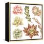 Watercolor Collection of Succulents and Kalanchoe for Your Design, Hand-Drawn Illustration.-Nikiparonak-Framed Stretched Canvas