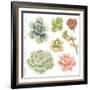 Watercolor Collection of Succulents for Your Design, Hand-Drawn Illustration.-Nikiparonak-Framed Art Print