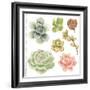 Watercolor Collection of Succulents for Your Design, Hand-Drawn Illustration.-Nikiparonak-Framed Art Print