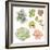 Watercolor Collection of Succulents for Your Design, Hand-Drawn Illustration.-Nikiparonak-Framed Art Print