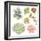 Watercolor Collection of Succulents for Your Design, Hand-Drawn Illustration.-Nikiparonak-Framed Premium Giclee Print