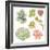 Watercolor Collection of Succulents for Your Design, Hand-Drawn Illustration.-Nikiparonak-Framed Premium Giclee Print