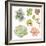 Watercolor Collection of Succulents for Your Design, Hand-Drawn Illustration.-Nikiparonak-Framed Premium Giclee Print