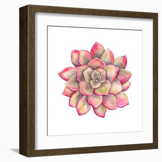 Watercolor Colorful Succulent Echeveria, Hand-Drawn Illustration in Vintage Style.-Nikiparonak-Framed Art Print