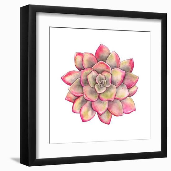 Watercolor Colorful Succulent Echeveria, Hand-Drawn Illustration in Vintage Style.-Nikiparonak-Framed Art Print