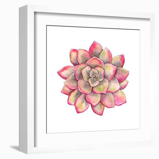 Watercolor Colorful Succulent Echeveria, Hand-Drawn Illustration in Vintage Style.-Nikiparonak-Framed Art Print