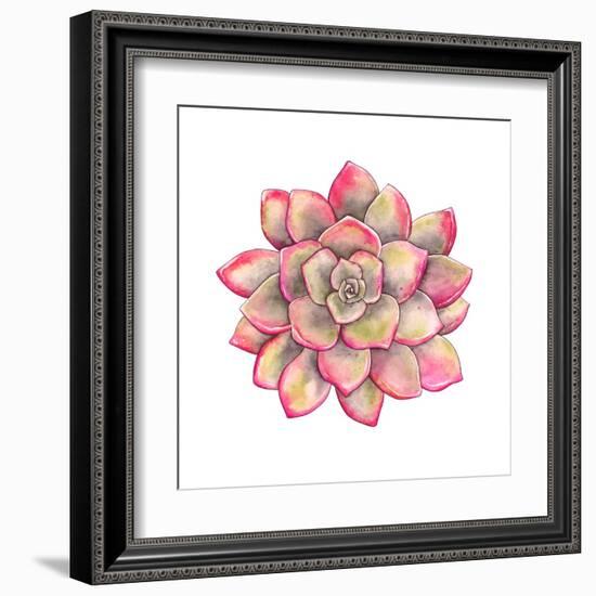 Watercolor Colorful Succulent Echeveria, Hand-Drawn Illustration in Vintage Style.-Nikiparonak-Framed Art Print