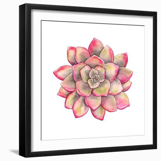 Watercolor Colorful Succulent Echeveria, Hand-Drawn Illustration in Vintage Style.-Nikiparonak-Framed Art Print