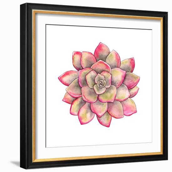 Watercolor Colorful Succulent Echeveria, Hand-Drawn Illustration in Vintage Style.-Nikiparonak-Framed Art Print