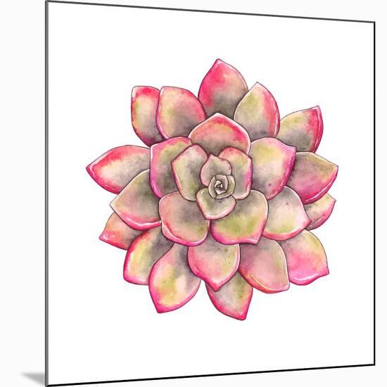 Watercolor Colorful Succulent Echeveria, Hand-Drawn Illustration in Vintage Style.-Nikiparonak-Mounted Premium Giclee Print