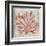 Watercolor Coral III-Megan Meagher-Framed Art Print