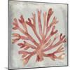 Watercolor Coral III-Megan Meagher-Mounted Art Print