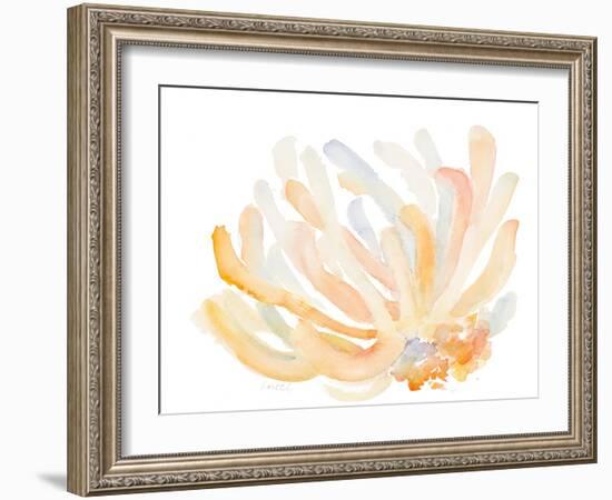 Watercolor Coral-Lanie Loreth-Framed Art Print