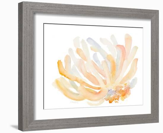 Watercolor Coral-Lanie Loreth-Framed Art Print