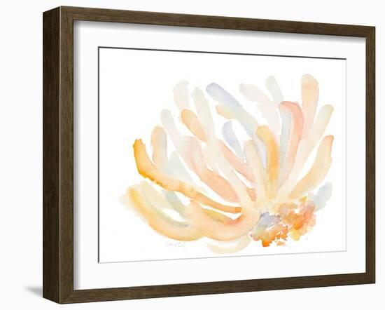 Watercolor Coral-Lanie Loreth-Framed Art Print