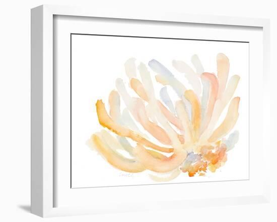 Watercolor Coral-Lanie Loreth-Framed Art Print