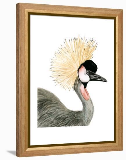 Watercolor Crested Crane-Naomi McCavitt-Framed Stretched Canvas