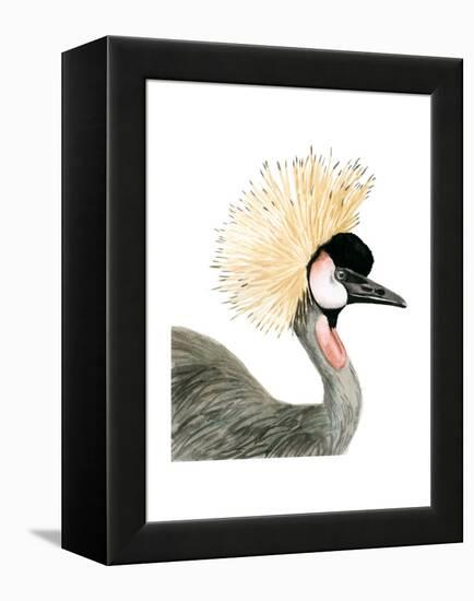 Watercolor Crested Crane-Naomi McCavitt-Framed Stretched Canvas