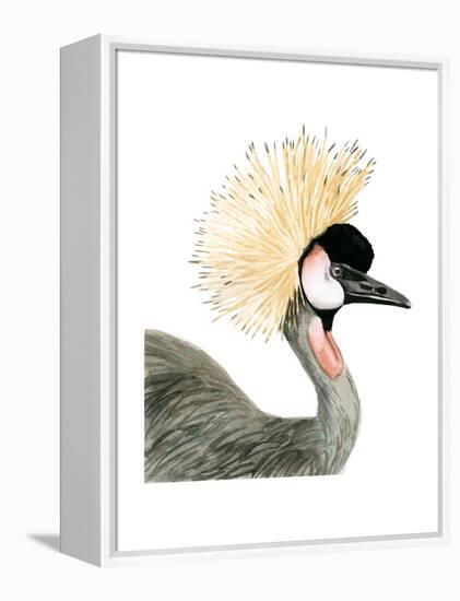 Watercolor Crested Crane-Naomi McCavitt-Framed Stretched Canvas