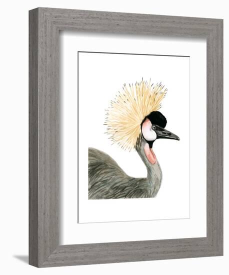 Watercolor Crested Crane-Naomi McCavitt-Framed Art Print